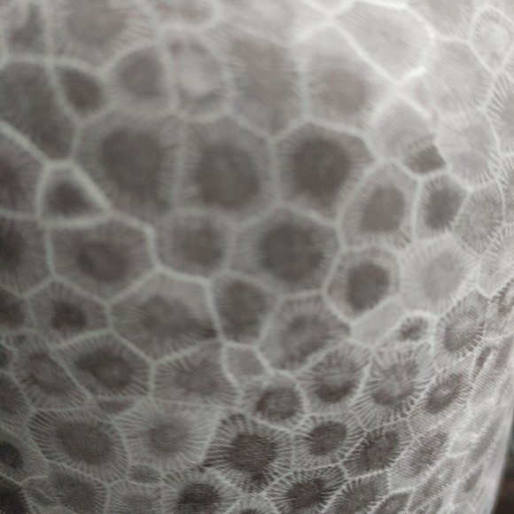 Meet your Posher, Debbie - Picture 1 of 1